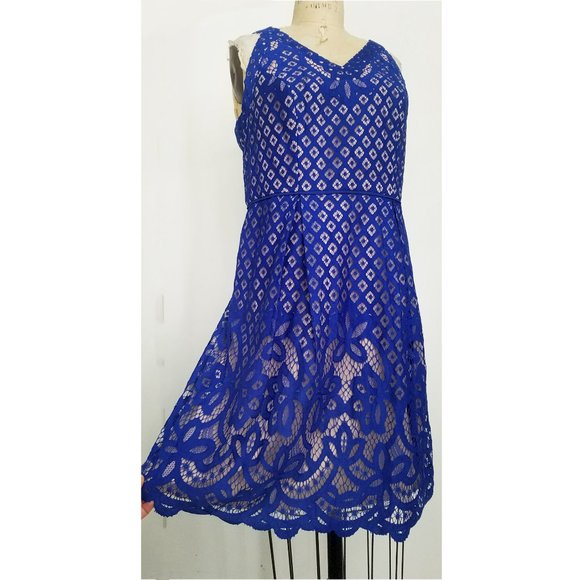 Chico's Womens Blue Lace Illusion Dress Sleeveless Pleated 2 NWT - Picture 3 of 10